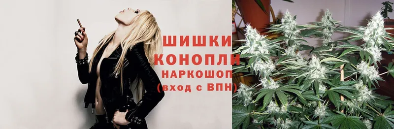 shop клад  МЕГА как зайти  Аркадак  МАРИХУАНА OG Kush 